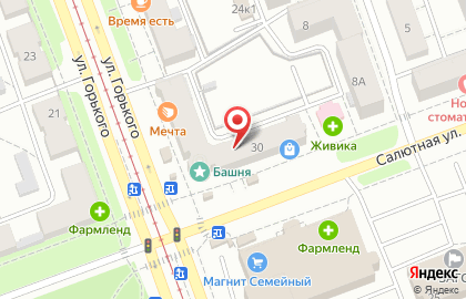 Сервис-центр на улице Горького на карте