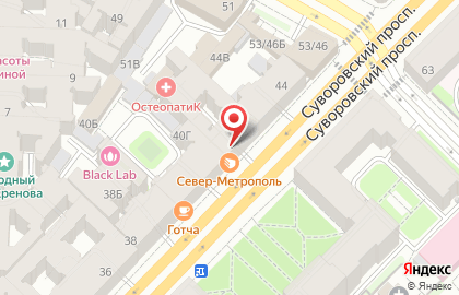 Кафе-кондитерская Север-Метрополь на Суворовском проспекте на карте