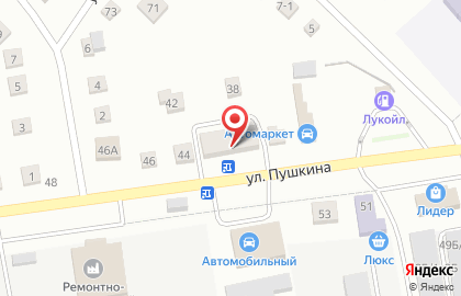 Магазин по продаже мяса на улице Пушкина на карте