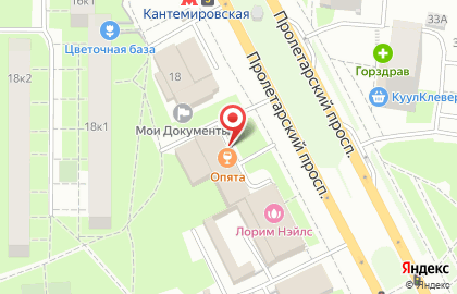 Салон оптики Альфа-Оптика на Пролетарском проспекте на карте