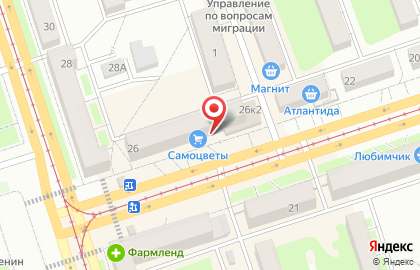 Магазин сувениров из камня Самоцветы на улице Мира на карте