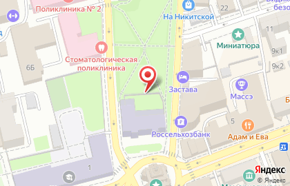 Педагогический институт, ВлГУ на Никитской улице на карте