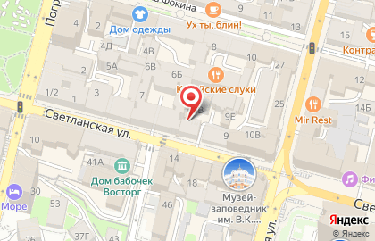 Магазин радиотоваров на Светланской улице на карте