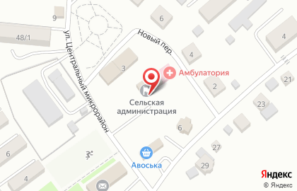 Многофункциональный центр Алтайского края Мои документы в Новом переулке на карте