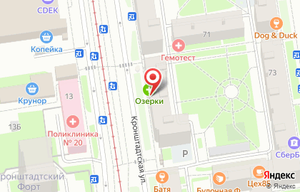 Аптека Озерки в Санкт-Петербурге на карте