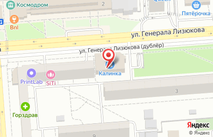 Астрея на улице Генерала Лизюкова на карте