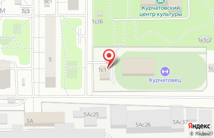Спортивно-интеллектуальное пространство Курчатовец на карте