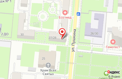 Компания по продаже оргтехники на улице Пушкина на карте