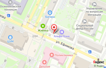 Кафе быстрого питания Визит на улице Ефимова на карте