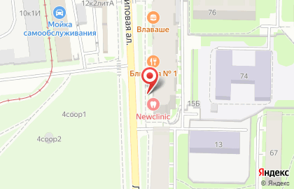 Магазин ЦветыБезПовода в Приморском районе на карте