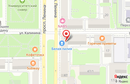 Магазин пива Хмель и солод на проспекте Ленина на карте