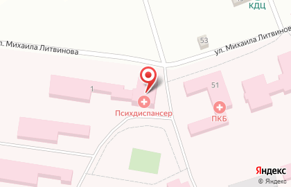 Психиатрическая областная больница № 1 им. Литвинова на карте