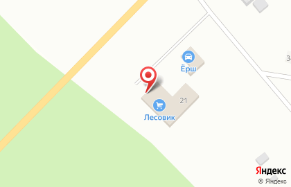 Компания Лесовик в Новосибирске на карте