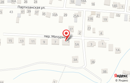 Частный детский сад Почемучка в переулке Мичурина на карте