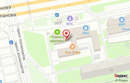 Магазин товаров для сада и огорода Садовод на проспекте Космонавтов на карте