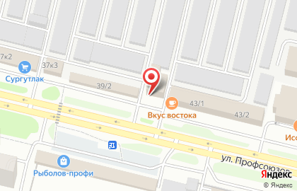 Автомагазин Автонаходка на улице Профсоюзов на карте
