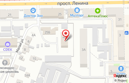 Частная охранная организация Алекс на проспекте Ленина на карте