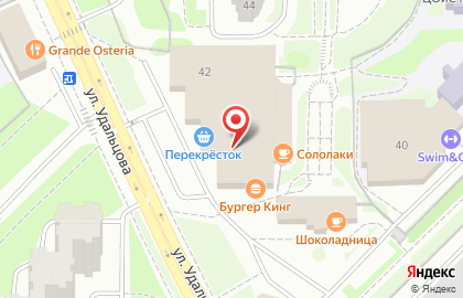 Магазин табачных изделий на ул. Удальцова, 42 на карте