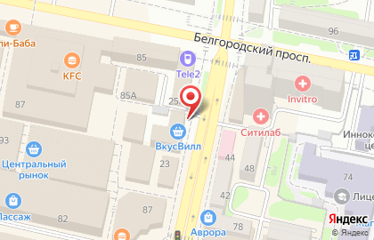 Оконные системы на улице Попова на карте