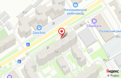 ЗооМаг на улице Сергея Лазо на карте