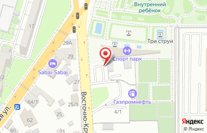 Компания Цветариум на ​Восточно-Кругликовской на карте