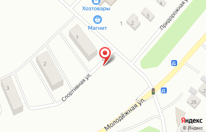 Магазин цветов и гелиевых шаров на Спортивной улице на карте