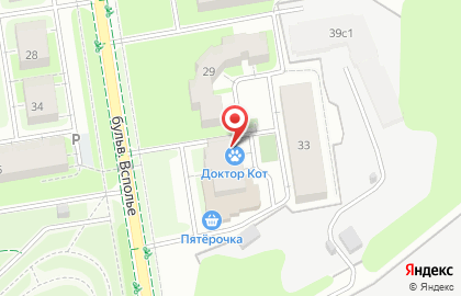 Ветеринарная клиника Доктор кот на карте