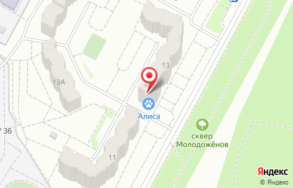 Ветеринарная клиника Алиса в Кемерово на карте