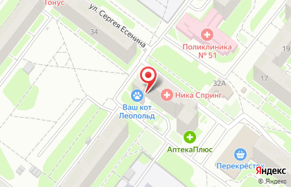 Продуктовый магазин на ул. Сергея Есенина, 32 на карте
