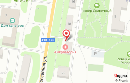 ДНП «Ижорец» на карте