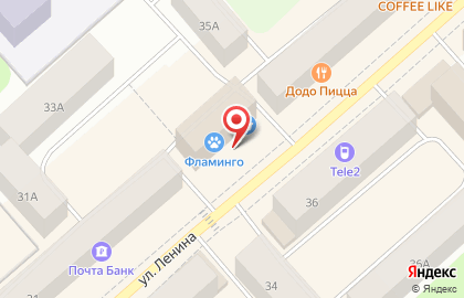 Магазин разливного пива Фламинго, магазин разливного пива на улице Ленина на карте