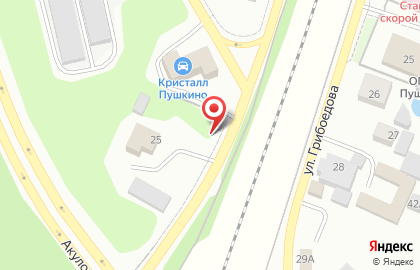 Шиномонтажная мастерская в Пушкино на карте