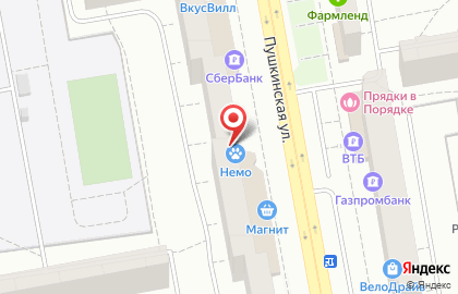 Зоомаркет Немо на Пушкинской улице на карте