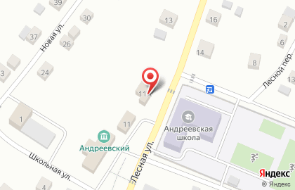 Продуктовый магазин Андреевский на Лесной на карте