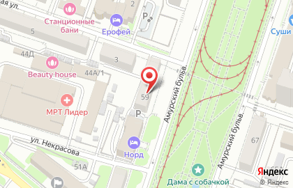Магазин верхнего и домашнего трикотажа Журавушка на Амурском бульваре на карте