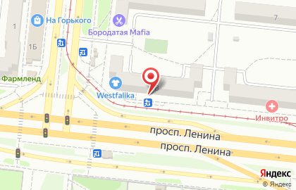 Магазин Елена на проспекте Ленина на карте