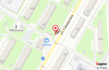 Магазин цветов в Москве на карте