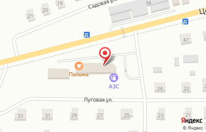 Магазин алкогольной продукции Бутыль на Центральной улице на карте
