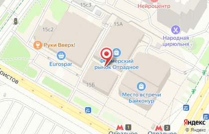 Мастерская по ремонту часов в Отрадном на карте