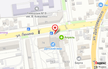 Иней на улице Ленина на карте