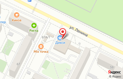 Ветеринарная аптека Дикси на улице Ленина на карте