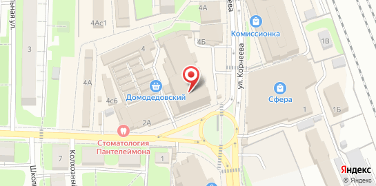 Ветеринарная клиника Ветпомощь Любимчик в Домодедово на карте