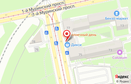 Супермаркет Дикси на Лесном проспекте на карте