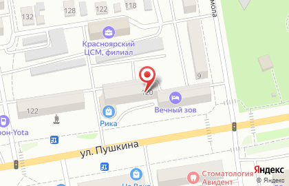 Лебедь на улице Пушкина на карте