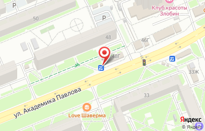 Чистые Луга на улице Академика Павлова на карте
