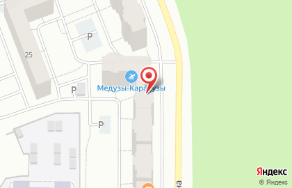 Магазин зоотоваров Панда на улице Гагарина на карте
