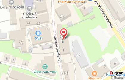 Русский фейерверк на улице Венецкого на карте