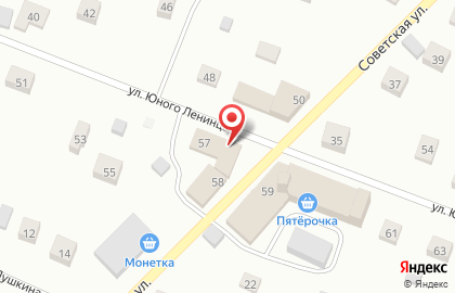 Магазин мясной продукции на улице Юного Ленинца на карте