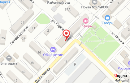 Органы опеки и попечительства Анивского городского округа на карте