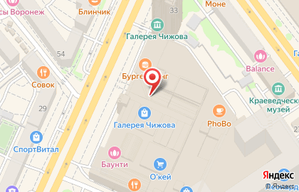 Торговый центр Галерея Чижова на карте